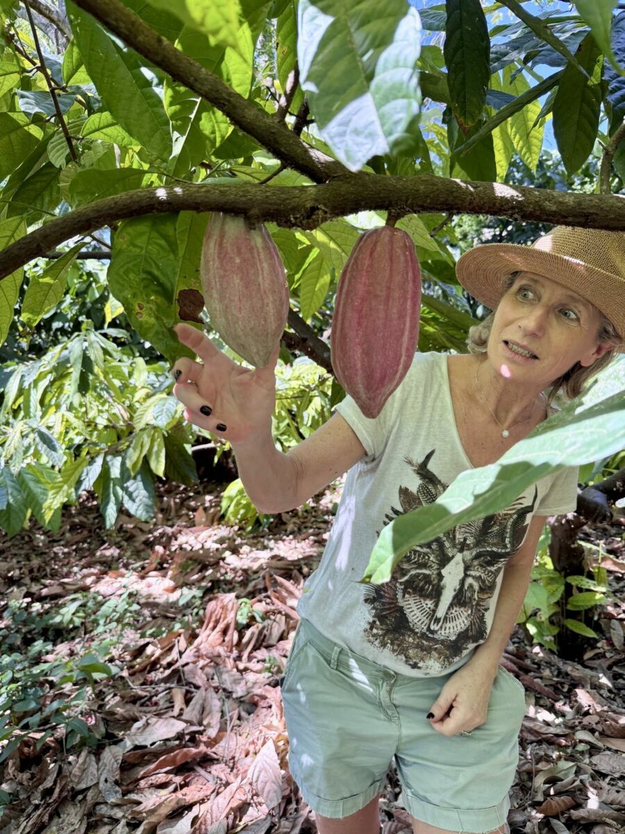 Retour sur mon Expédition Cacao au Salvador avec Nahù, sourcing. (janvier 2025)